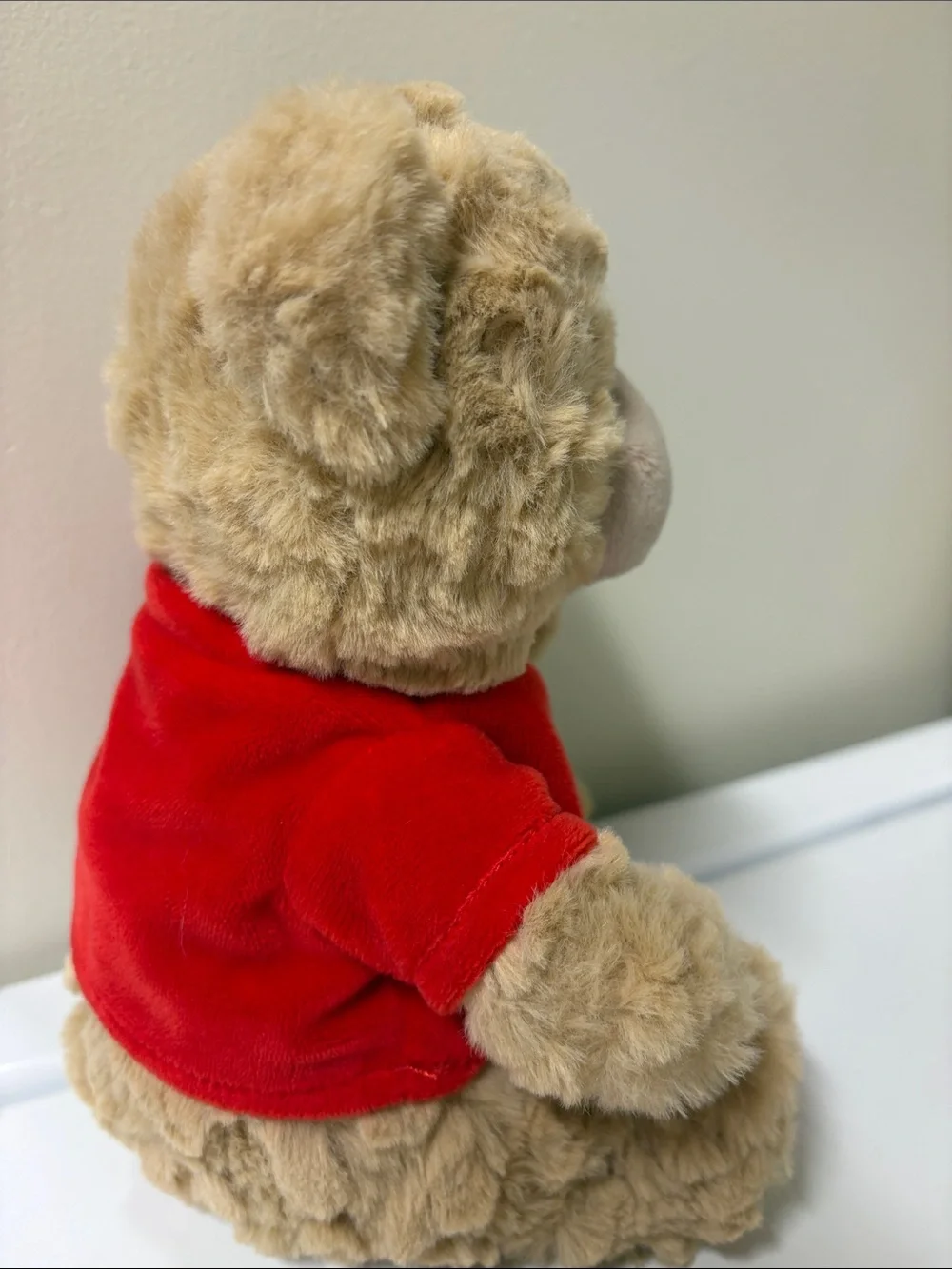 Beverly Hills Teddy Bear Co. 